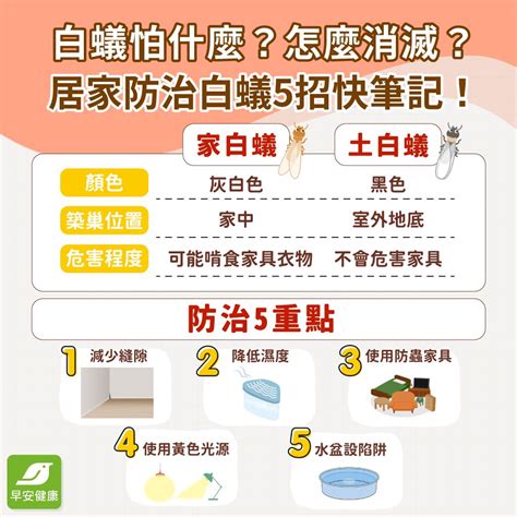 大水螞蟻巢穴|白蟻怕什麼？防治消滅方法整理包：防堵白蟻入侵5點。